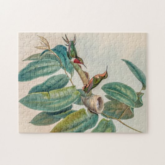  vogelstand door John Gould Legpuzzel (Horizontaal)