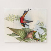  vogelstand door John Gould Legpuzzel (Horizontaal)