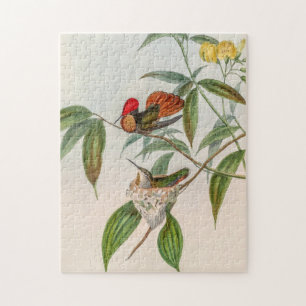 vogelstand door John Gould Legpuzzel