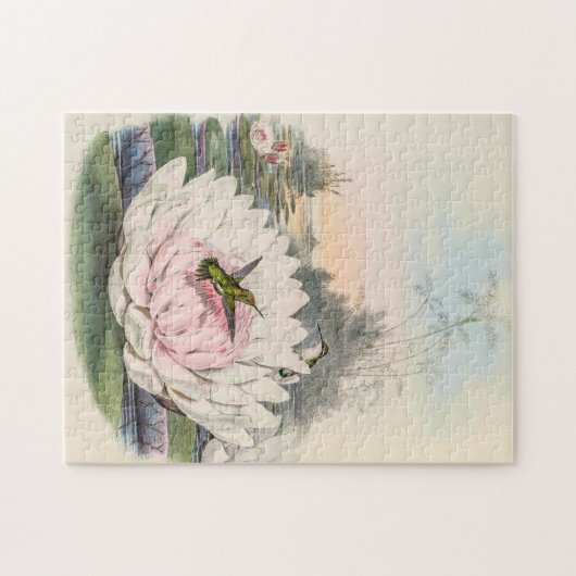  vogelstand door John Gould Legpuzzel (Horizontaal)