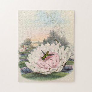 vogelstand door John Gould Legpuzzel