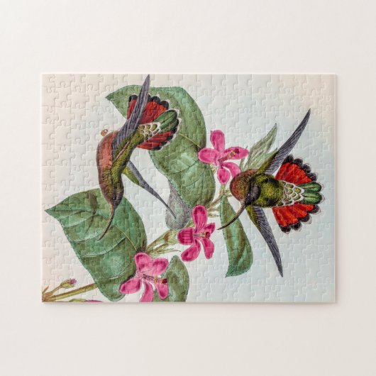  vogelstand door John Gould Legpuzzel (Horizontaal)