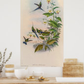 vogelstand door John Gould Poster (Keuken)