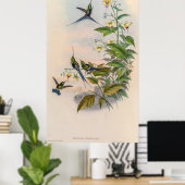 vogelstand door John Gould Poster (Thuiskantoor)