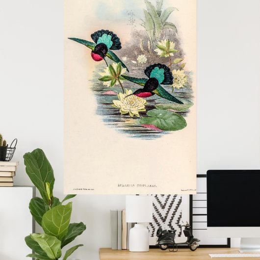  vogelstand door John Gould Poster (Thuiskantoor)