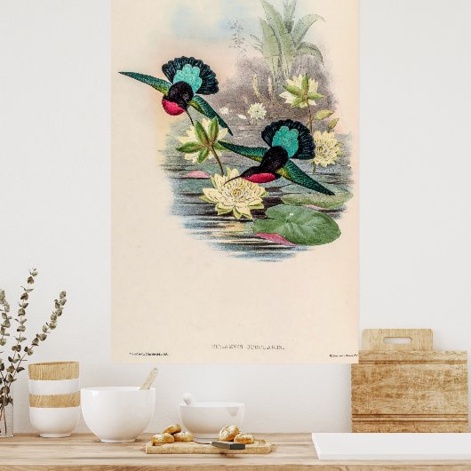  vogelstand door John Gould Poster (Keuken)