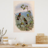 vogelstand door John Gould Poster (Keuken)
