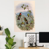vogelstand door John Gould Poster (Thuiskantoor)