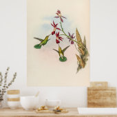 vogelstand door John Gould Poster (Keuken)