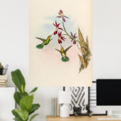 vogelstand door John Gould Poster (Thuiskantoor)