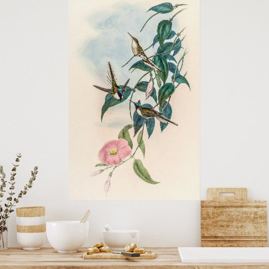  vogelstand door John Gould Poster (Keuken)