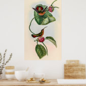 vogelstand door John Gould Poster (Keuken)
