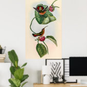 vogelstand door John Gould Poster (Thuiskantoor)