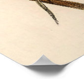  vogelstand door John Gould Poster (Hoek)