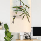  vogelstand door John Gould Poster (Thuiskantoor)