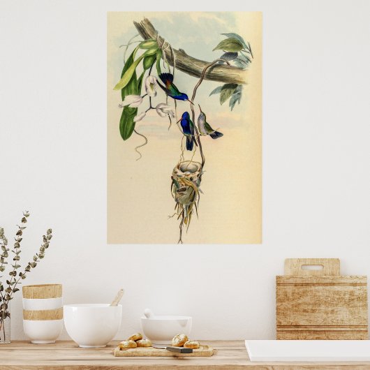  vogelstand door John Gould Poster (Keuken)