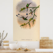  vogelstand door John Gould Poster (Keuken)