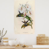 vogelstand door John Gould Poster (Keuken)