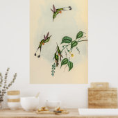  vogelstand door John Gould Poster (Keuken)