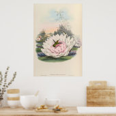  vogelstand door John Gould Poster (Keuken)