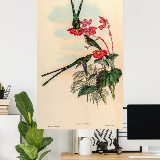  vogelstand door John Gould Poster (Thuiskantoor)