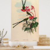  vogelstand door John Gould Poster (Keuken)