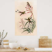 vogelstand door John Gould Poster (Keuken)
