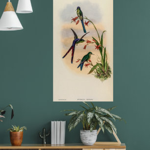  vogelstand door John Gould Poster