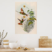 vogelstand door John Gould Poster (Keuken)
