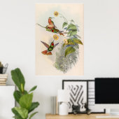 vogelstand door John Gould Poster (Thuiskantoor)