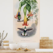  vogelstand door John Gould Poster (Keuken)