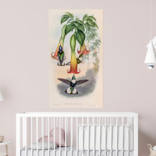 vogelstand door John Gould Poster