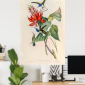  vogelstand door John Gould Poster (Thuiskantoor)