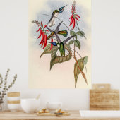  vogelstand door John Gould Poster (Keuken)