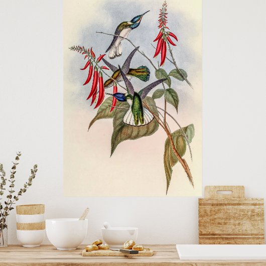  vogelstand door John Gould Poster (Keuken)