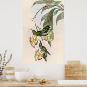  vogelstand door John Gould Poster (Keuken)