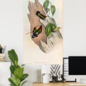 vogelstand door John Gould Poster (Thuiskantoor)