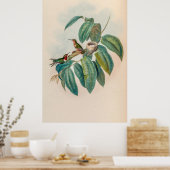  vogelstand door John Gould Poster (Keuken)