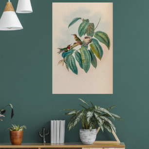 vogelstand door John Gould Poster