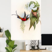  vogelstand door John Gould Poster (Thuiskantoor)