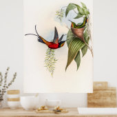  vogelstand door John Gould Poster (Keuken)