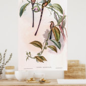  vogelstand door John Gould Poster (Keuken)