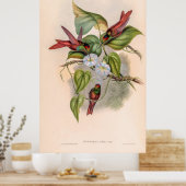  vogelstand door John Gould Poster (Keuken)