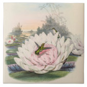  vogelstand door John Gould Tegeltje (Voorkant)