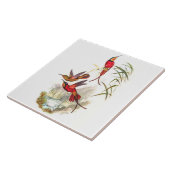  vogelstand door John Gould Tegeltje (Zijkant)