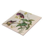  vogelstand door John Gould Tegeltje (Zijkant)