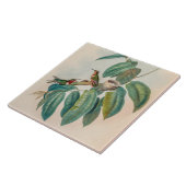  vogelstand door John Gould Tegeltje (Zijkant)