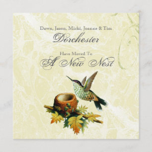 vogelstand en nestbeweging aankondiging