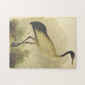 Vogelstand op de grond legpuzzel (Horizontaal)