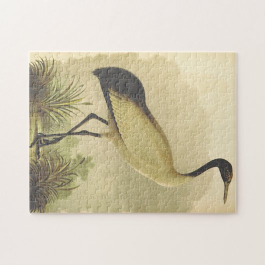 Vogelstand op de grond legpuzzel (Horizontaal)